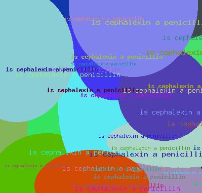 IS CEPHALEXIN A PENICILLIN